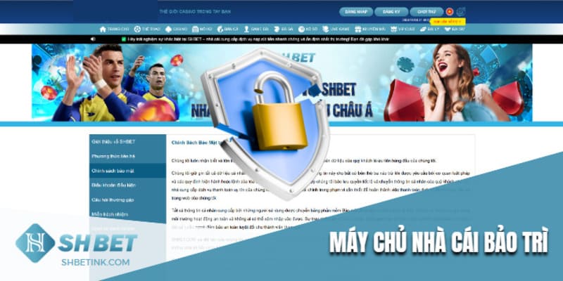 Link shbet bị lỗi do hệ thống máy chủ bảo trì