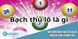 Bạch thủ lô là gì?