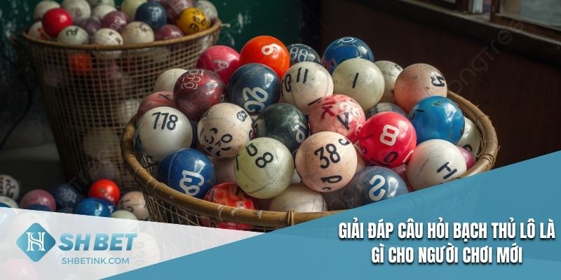 Giải đáp câu hỏi bạch thủ lô là gì cho người chơi mới