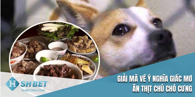 Giải mã ý nghĩa giấc mơ về ăn thịt chú chó cưng